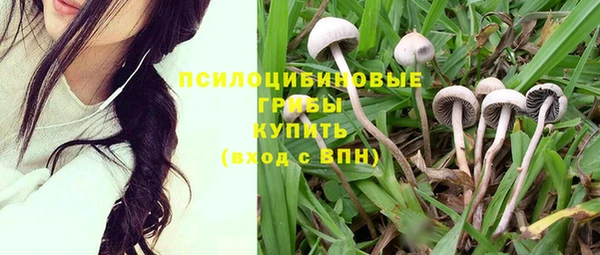 стафф Приозерск
