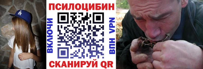 наркота  Новопавловск  Псилоцибиновые грибы MAGIC MUSHROOMS 